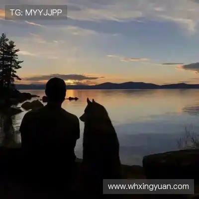 毛泳晟